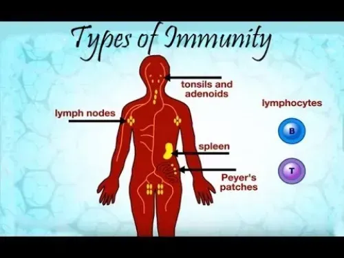 Immuniti+ : sastav samo prirodnih sastojaka.